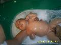 Frds kzben
